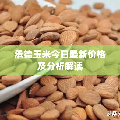 秀外慧中