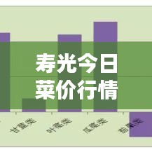 壽光今日菜價(jià)行情更新，最新消息一覽