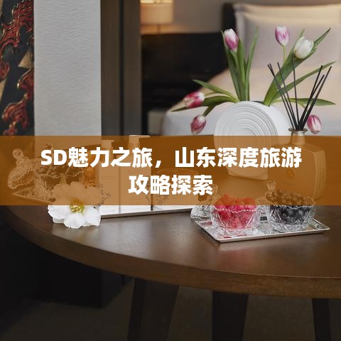 SD魅力之旅，山東深度旅游攻略探索