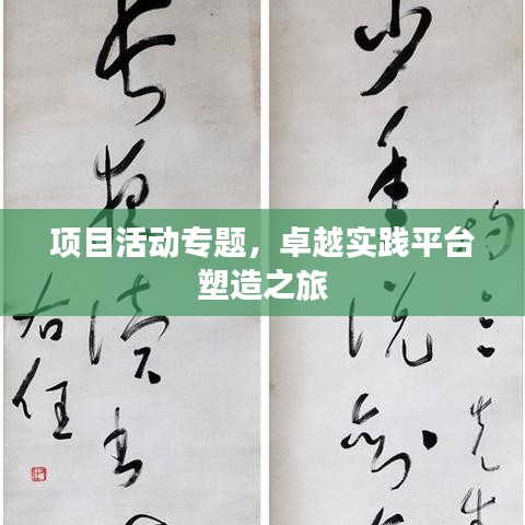 項目活動專題，卓越實踐平臺塑造之旅