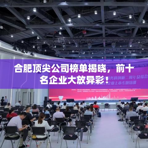 合肥頂尖公司榜單揭曉，前十名企業(yè)大放異彩！