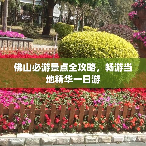 夸夸其談
