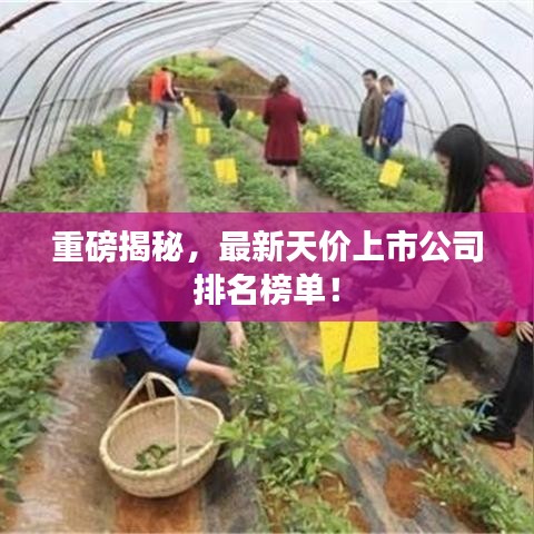 重磅揭秘，最新天價上市公司排名榜單！