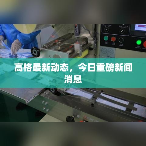 高格最新動態(tài)，今日重磅新聞消息