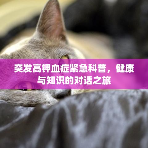 突發(fā)高鉀血癥緊急科普，健康與知識(shí)的對(duì)話之旅