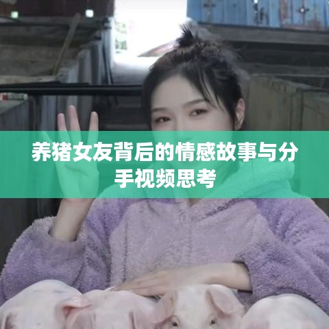 養(yǎng)豬女友背后的情感故事與分手視頻思考