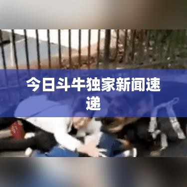 新聞資訊 第9頁