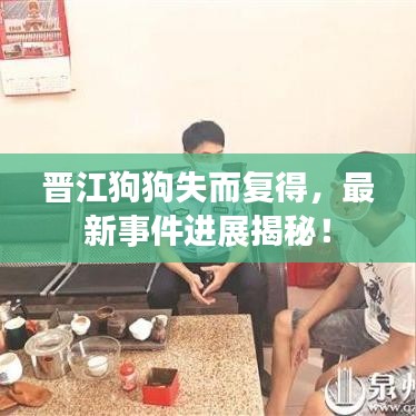 晉江狗狗失而復(fù)得，最新事件進(jìn)展揭秘！