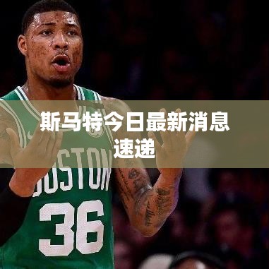 斯馬特今日最新消息速遞