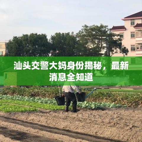 汕頭交警大媽身份揭秘，最新消息全知道