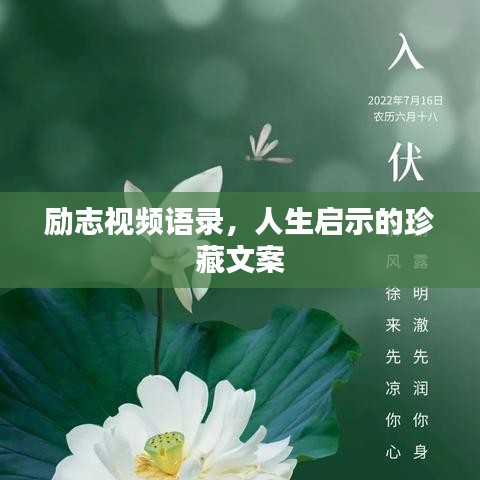 勵(lì)志視頻語錄，人生啟示的珍藏文案