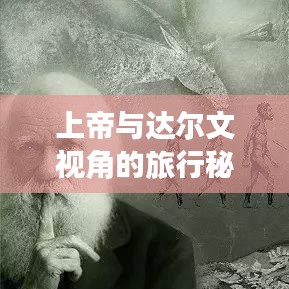 上帝與達(dá)爾文視角的旅行秘籍，揭秘最佳旅游指南！