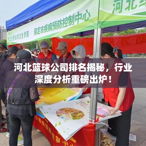 河北籃球公司排名揭秘，行業(yè)深度分析重磅出爐！