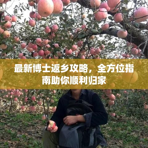 最新博士返鄉(xiāng)攻略，全方位指南助你順利歸家