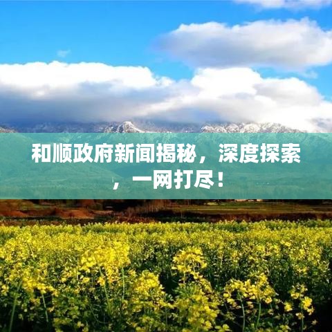 和順政府新聞揭秘，深度探索，一網(wǎng)打盡！