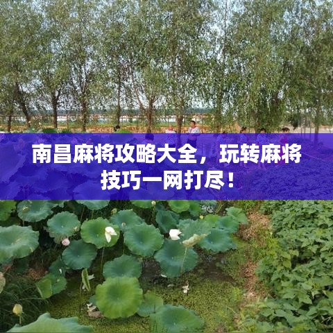 南昌麻將攻略大全，玩轉(zhuǎn)麻將技巧一網(wǎng)打盡！