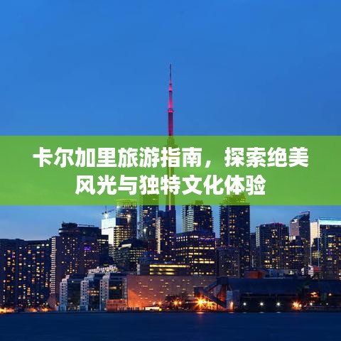 第42頁