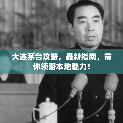 大連茅臺(tái)攻略，最新指南，帶你領(lǐng)略本地魅力！