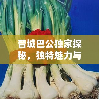 晉城巴公獨家探秘，獨特魅力與歷史底蘊的完美結合