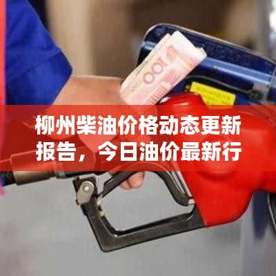 柳州柴油價格動態(tài)更新報告，今日油價最新行情分析