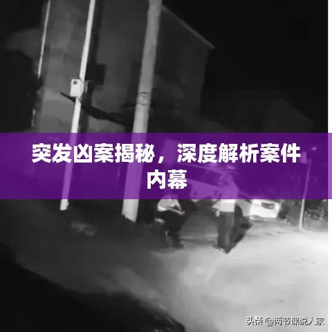 突發(fā)兇案揭秘，深度解析案件內(nèi)幕