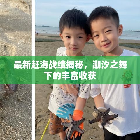最新趕海戰(zhàn)績揭秘，潮汐之舞下的豐富收獲