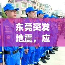 東莞突發(fā)地震，應(yīng)對與反思，深度剖析事件真相