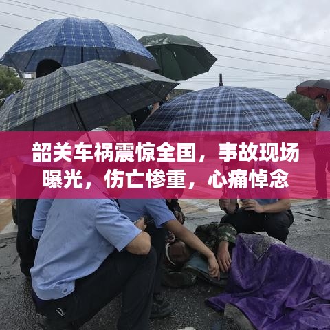 筆走如飛