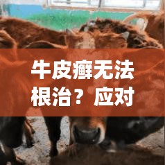 牛皮癬無(wú)法根治？應(yīng)對(duì)策略助你擺脫皮膚病困擾！