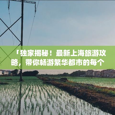 「獨家揭秘！最新上海旅游攻略，帶你暢游繁華都市的每個角落」