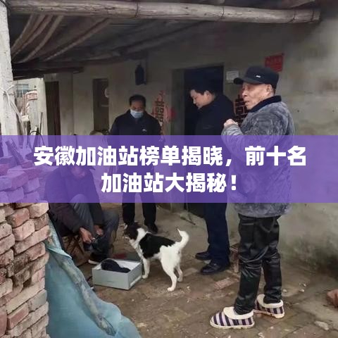 安徽加油站榜單揭曉，前十名加油站大揭秘！