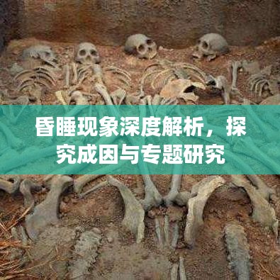 昏睡現(xiàn)象深度解析，探究成因與專題研究