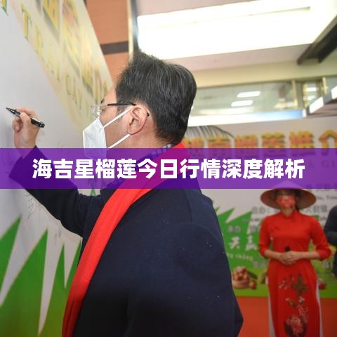 海吉星榴蓮今日行情深度解析