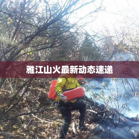 雅江山火最新動態(tài)速遞