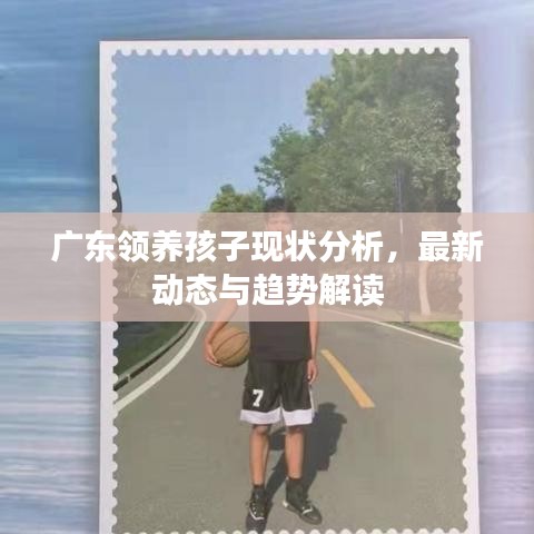 廣東領(lǐng)養(yǎng)孩子現(xiàn)狀分析，最新動態(tài)與趨勢解讀