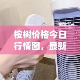 桉樹(shù)價(jià)格今日行情圖，最新市場(chǎng)動(dòng)態(tài)一網(wǎng)打盡！