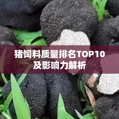 豬飼料質(zhì)量排名TOP10及影響力解析