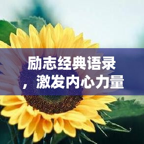 勵(lì)志經(jīng)典語(yǔ)錄，激發(fā)內(nèi)心力量的源泉