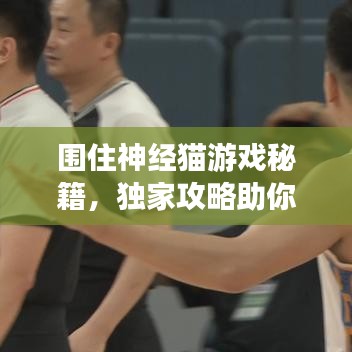 圍住神經(jīng)貓游戲秘籍，獨(dú)家攻略助你輕松通關(guān)！