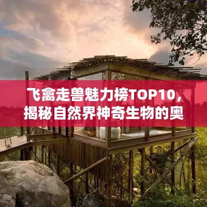 泡沫混凝土介紹 第2頁