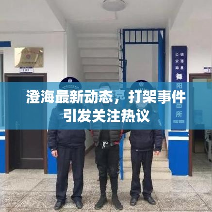 澄海最新動態(tài)，打架事件引發(fā)關(guān)注熱議