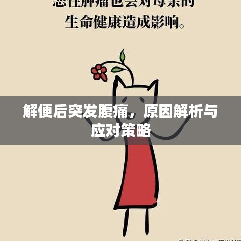 解便后突發(fā)腹痛，原因解析與應對策略