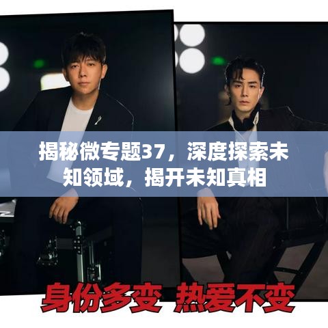 揭秘微專題37，深度探索未知領(lǐng)域，揭開未知真相
