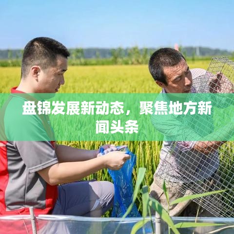 盤錦發(fā)展新動(dòng)態(tài)，聚焦地方新聞?lì)^條