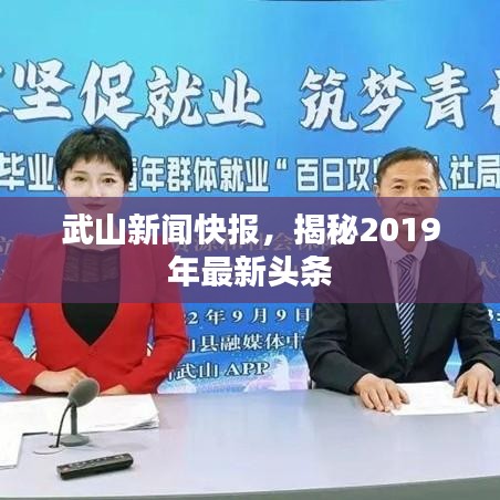 武山新聞快報(bào)，揭秘2019年最新頭條