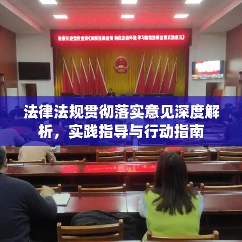 法律法規(guī)貫徹落實(shí)意見(jiàn)深度解析，實(shí)踐指導(dǎo)與行動(dòng)指南