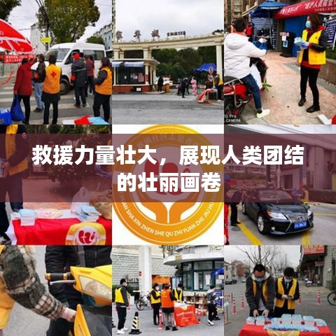 救援力量壯大，展現(xiàn)人類(lèi)團(tuán)結(jié)的壯麗畫(huà)卷