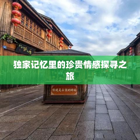 獨(dú)家記憶里的珍貴情感探尋之旅