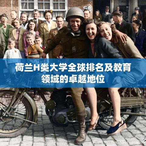 荷蘭H類大學全球排名及教育領域的卓越地位