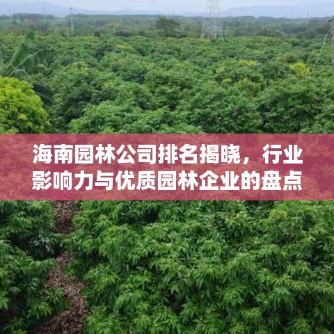 海南園林公司排名揭曉，行業(yè)影響力與優(yōu)質(zhì)園林企業(yè)的盤點(diǎn)